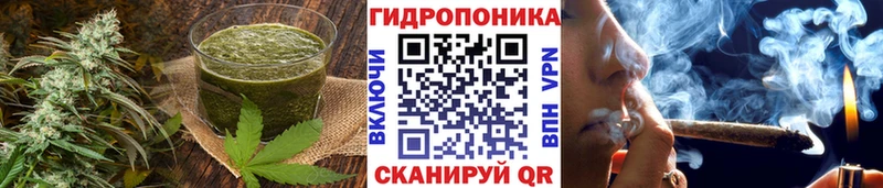 Cannafood конопля  наркошоп  МЕГА как зайти  Пойковский 