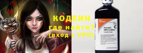ешки Корсаков