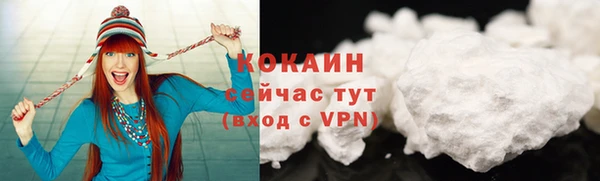 молекула духа Костерёво