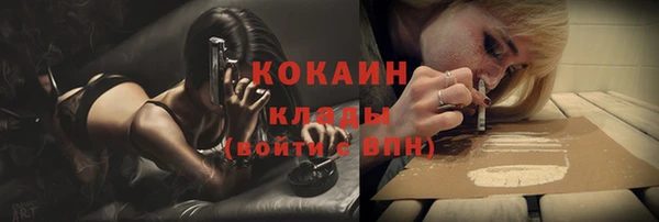 молекула духа Костерёво