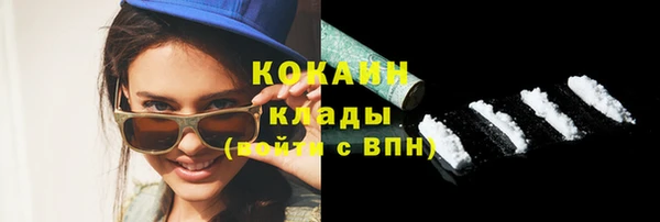 ешки Корсаков
