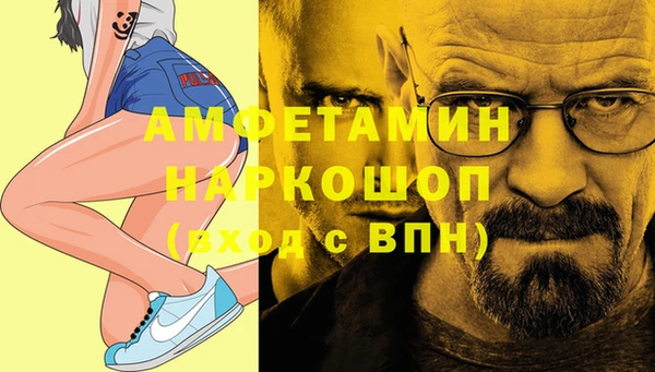 молекула духа Костерёво