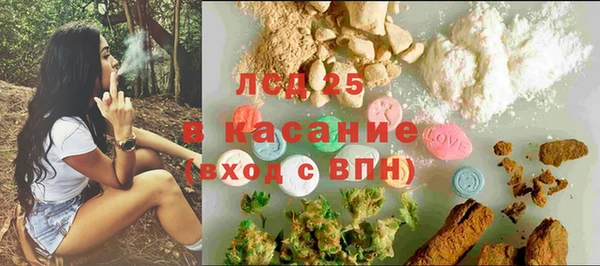 ешки Корсаков