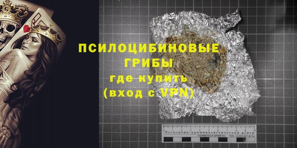 молекула духа Костерёво