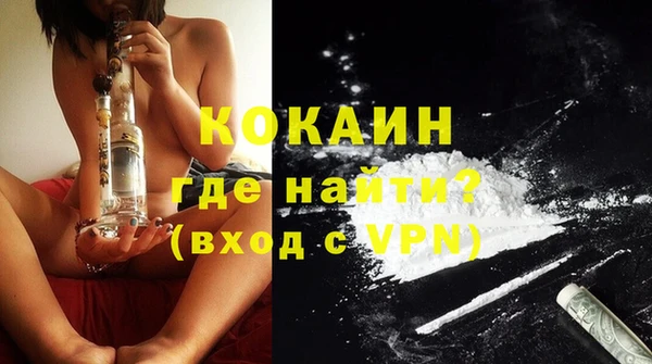 ешки Корсаков