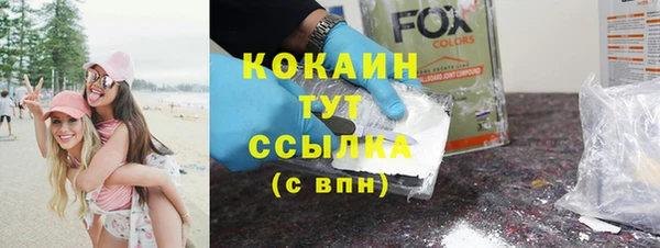 молекула духа Костерёво