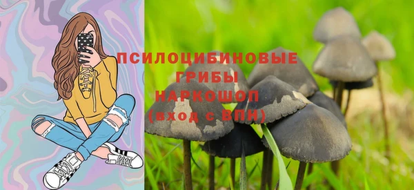 ешки Корсаков