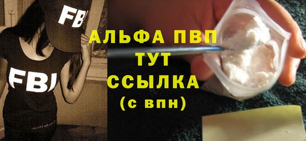 ешки Корсаков
