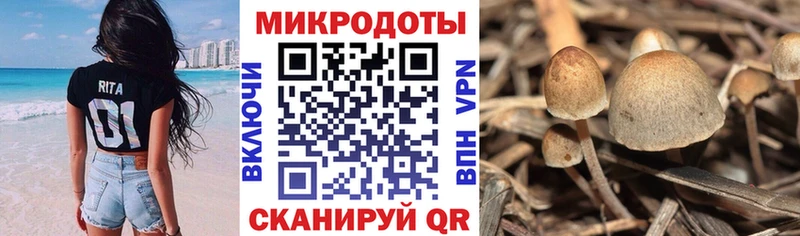 Галлюциногенные грибы прущие грибы  Пойковский 
